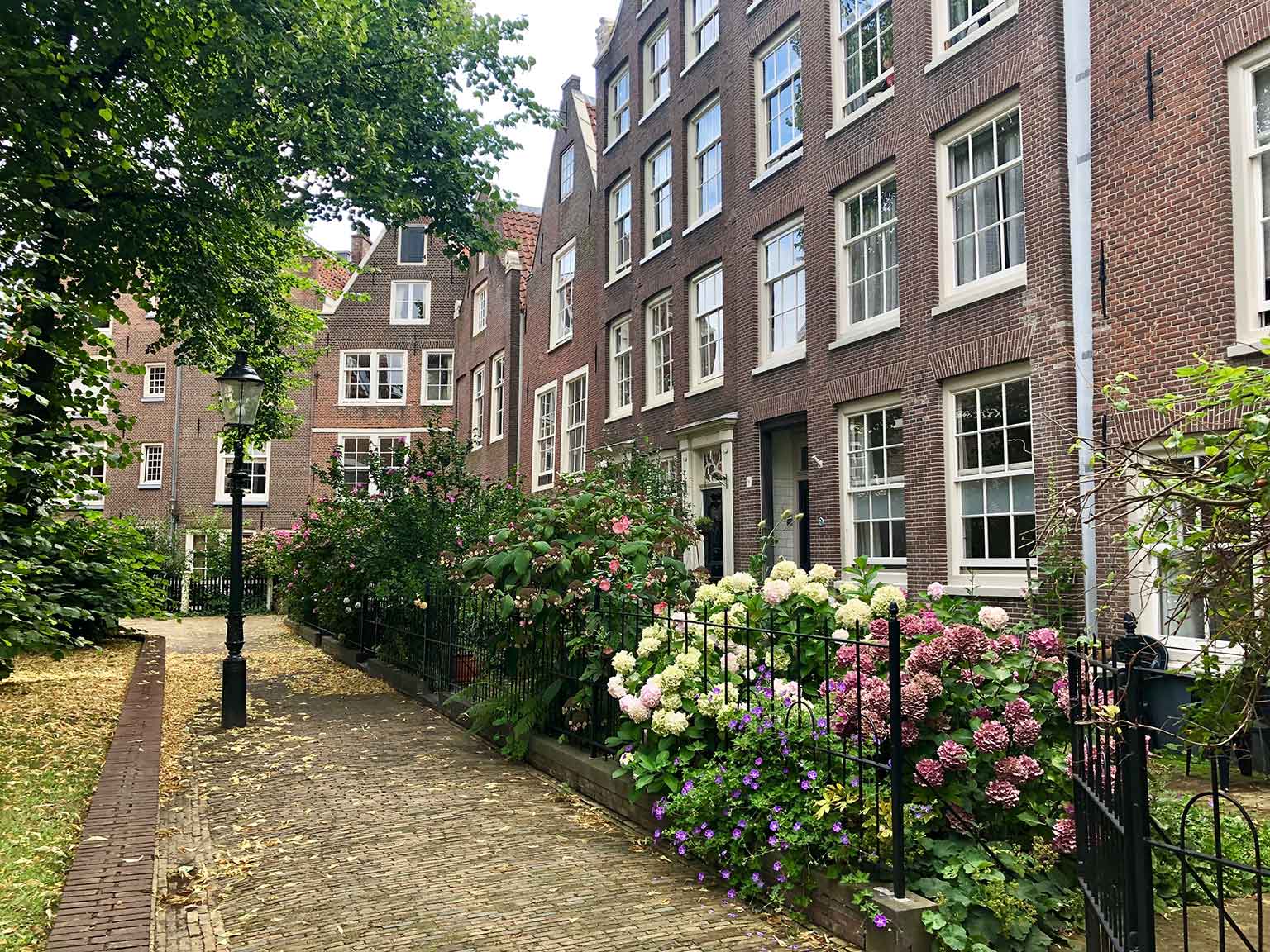 Huizen in het Begijnhof, Amsterdam, met bloemen in de voortuintjes