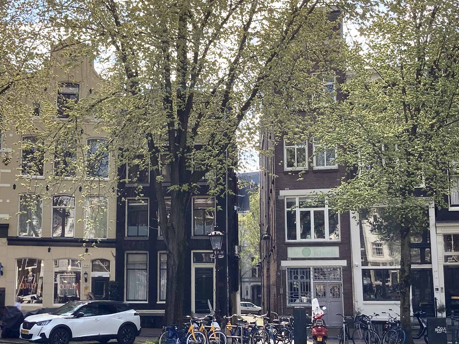 Dubbeleworststeeg, Amsterdam, seen from across the Singel towards the Herengracht