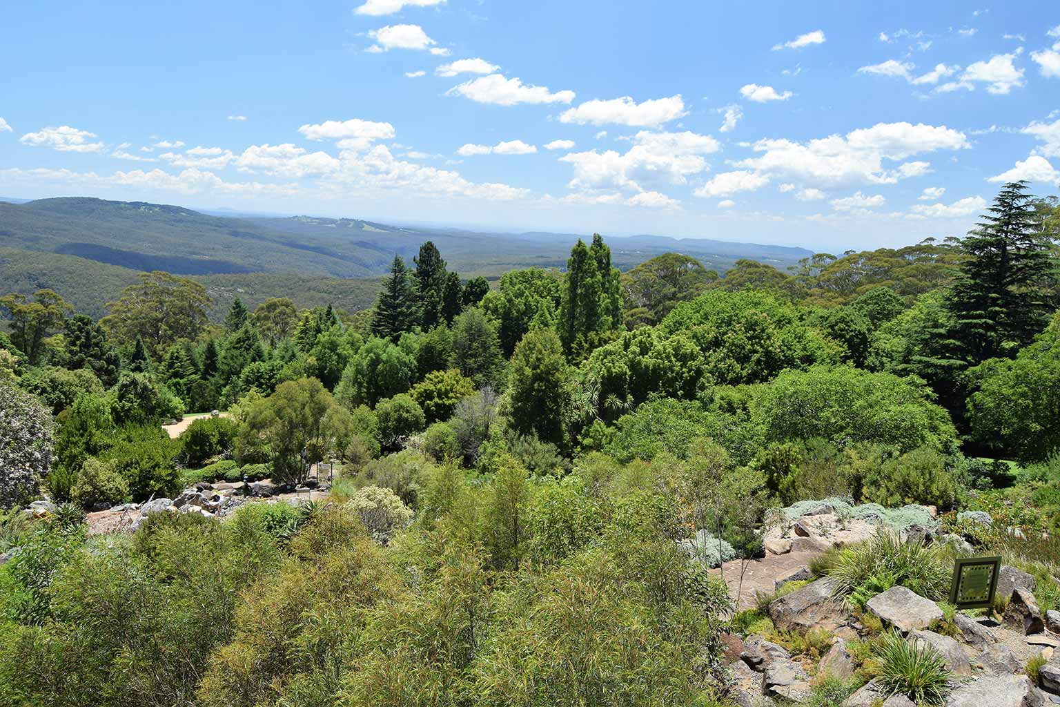 Blue Mountains landschap in New South Wales, Australië