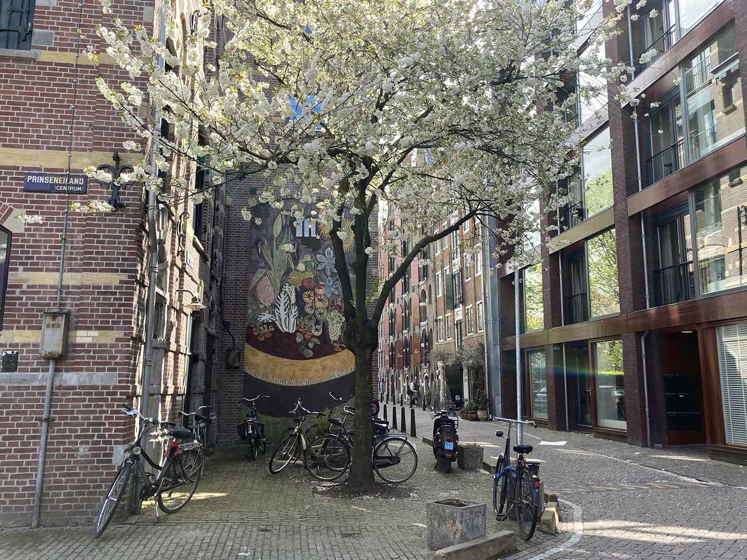 Prinseneiland, Amsterdam, muuurschildering van Nelson Mandela’s moestuin in Pollsmoor