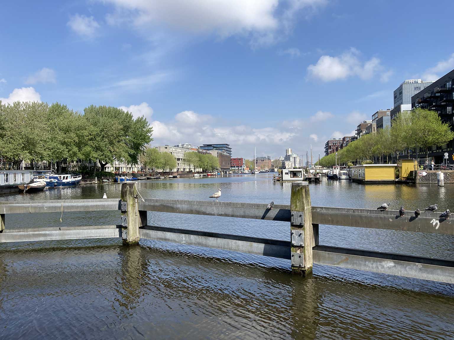 Westerdok, Amsterdam, vanaf het zuiden bij de Westerdokskade naar het noorden kijkend