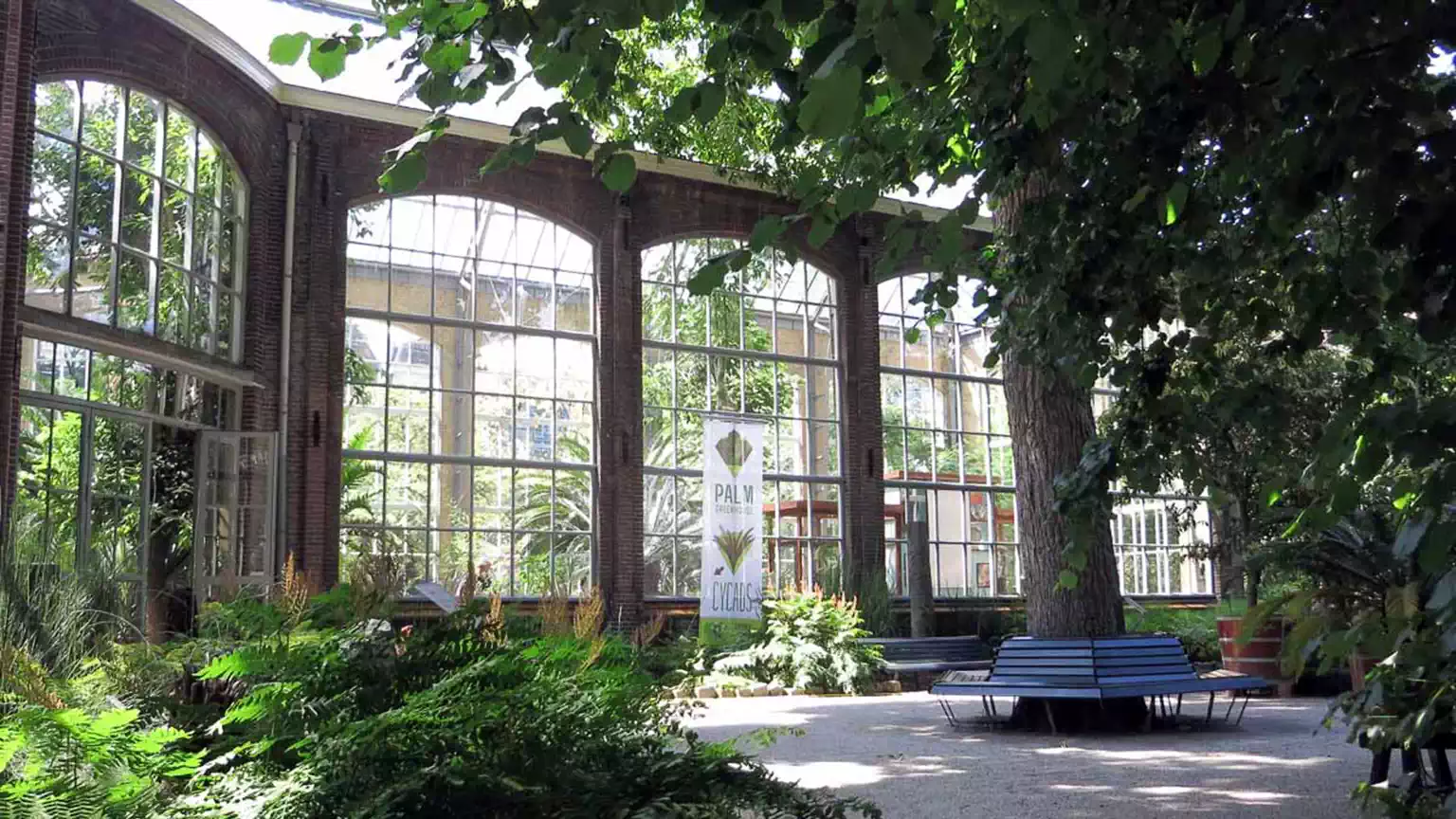 Pavillion of the Hortus Botanicus, Amsterdam